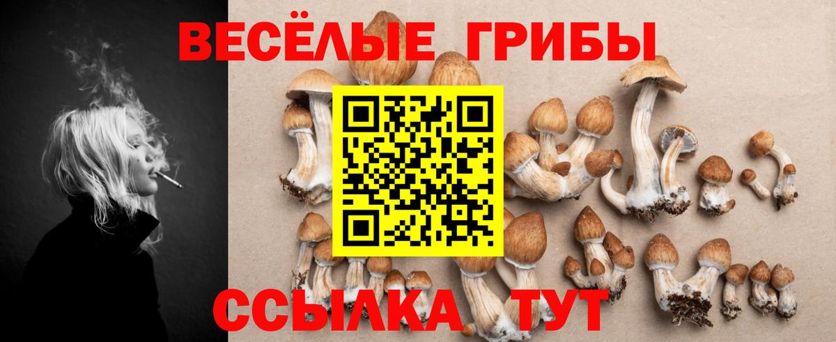 Псилоцибиновые грибы Magic Shrooms  Вход с VPN  Галлюциногенные грибы Magic Shrooms  Сердобск 